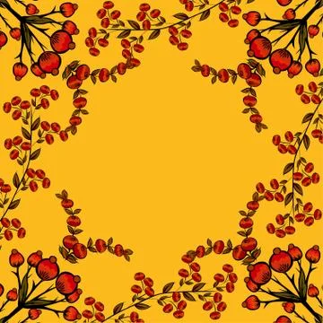 Berries natural vector background. 스톡 일러스트