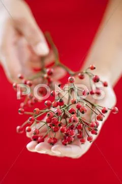 Berries Stock Photos