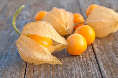 Berries Stock Photos