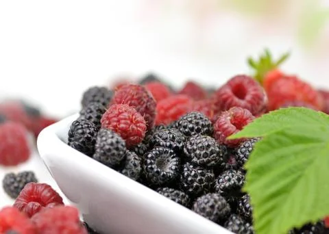 Berries Stock Photos