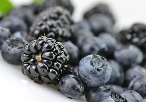 Berries Stock Photos