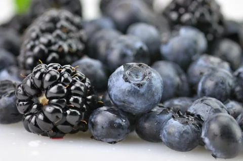 Berries Stock Photos