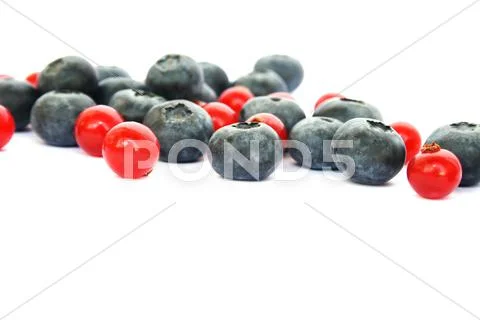 Berries Stock Photos
