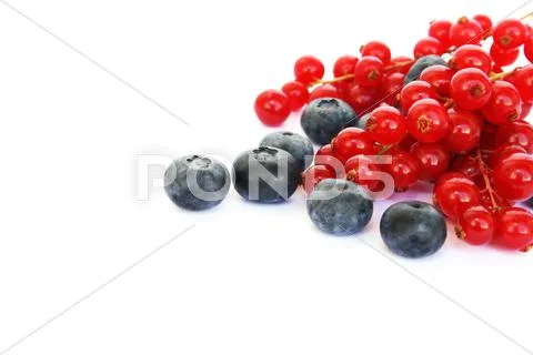 Berries Stock Photos