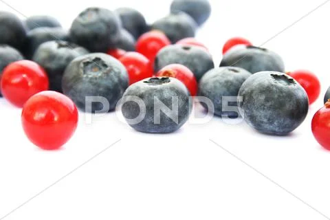 Berries Stock Photos