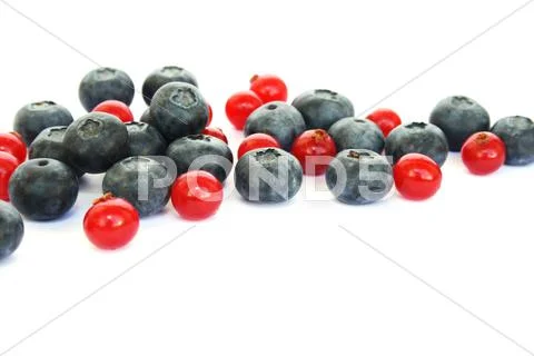 Berries Stock Photos