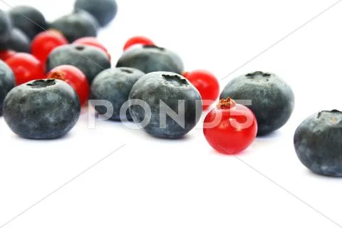 Berries Stock Photos