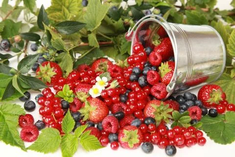 Berries Stock Photos