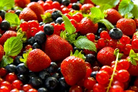 Berries Stock Photos