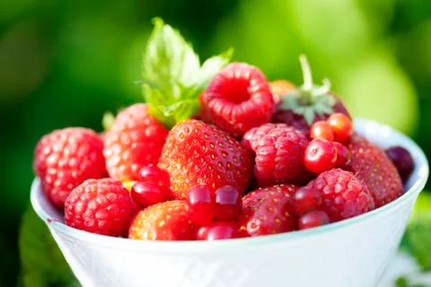 Berries Stock Photos