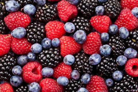 Berries Stock Photos