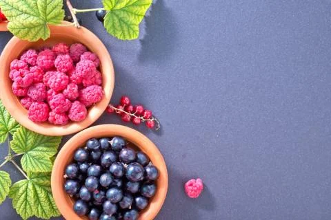 Berries Stock Photos