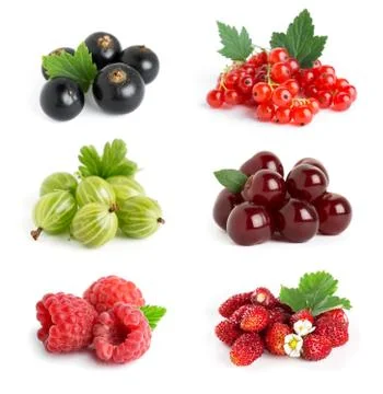 Berries Stock Photos