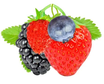 Berries Stock Photos