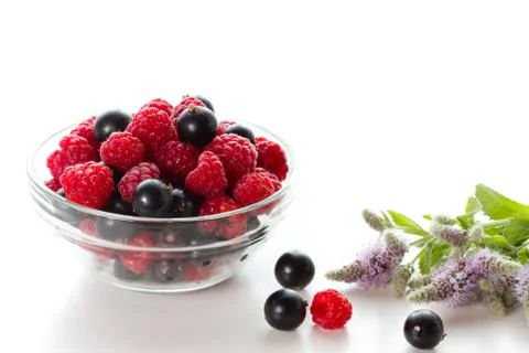 Berries Stock Photos
