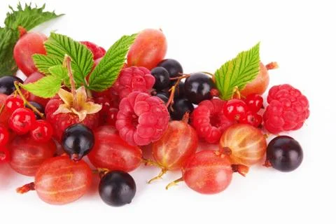 Berries Stock Photos