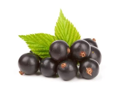 Berries Foto stock