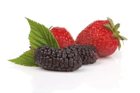 Berries Foto stock
