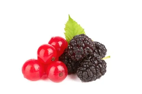 Berries Stock Photos