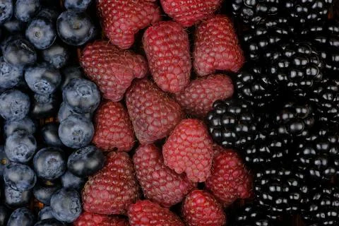 Berries Stock Photos