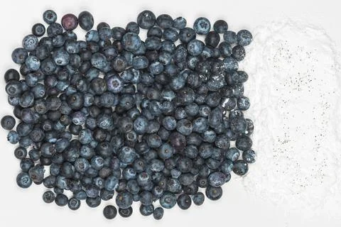 Berries Stock Photos