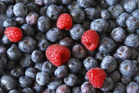 Berries Stock Photos
