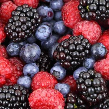 Berries Stock Photos