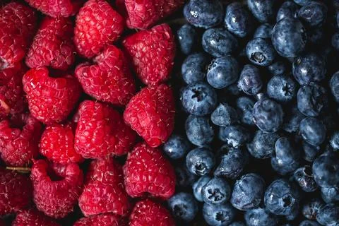 Berries pile texture Stock Photos