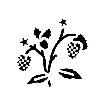 Berries plant raspberry fruit glyph icon vector illustration Stock Illustration