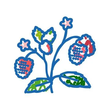Berries plant raspberry fruit icon doodle illustration Stock Illustration