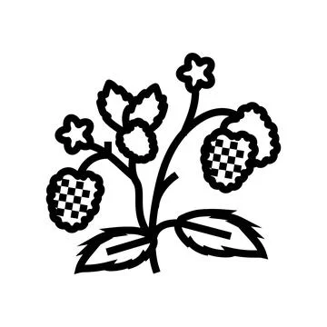 Berries plant raspberry fruit line icon vector illustration 스톡 일러스트
