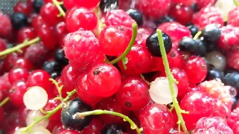 Berries pour water Stock Footage 80528013