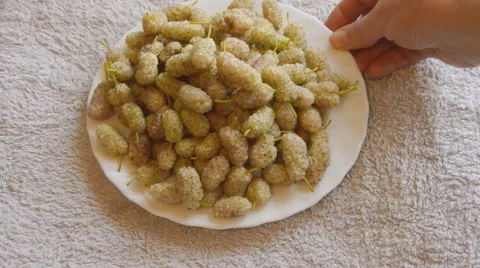 Berries Presented On Plate Stock Footage 64706818