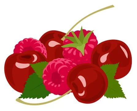 Berries. Raspberry and cherry on white. Raster illustration Stock Illustration