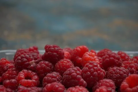 Berries with raspberry pel in a plastic tray close-up Stock Photos