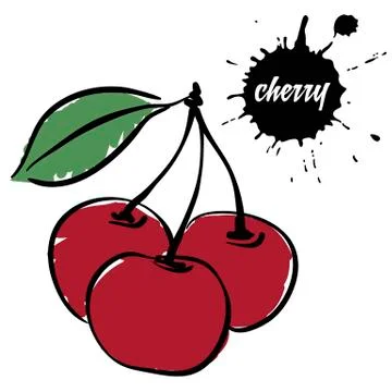 Berries red cherry Stock Illustration