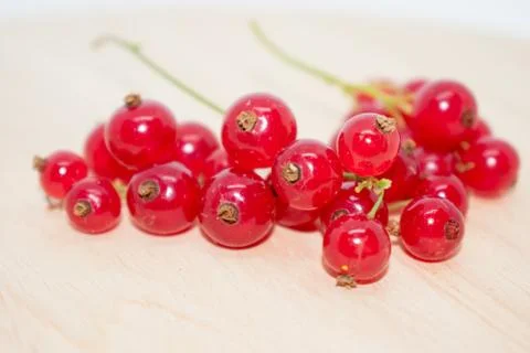 Berries of red currant Stock Photos