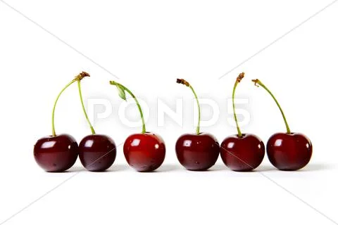 Berries ripe cherry Stock Photos
