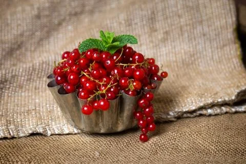 Berries in sackcloth Stock Photos