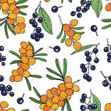 Berries seamless pattern Stock Illustration
