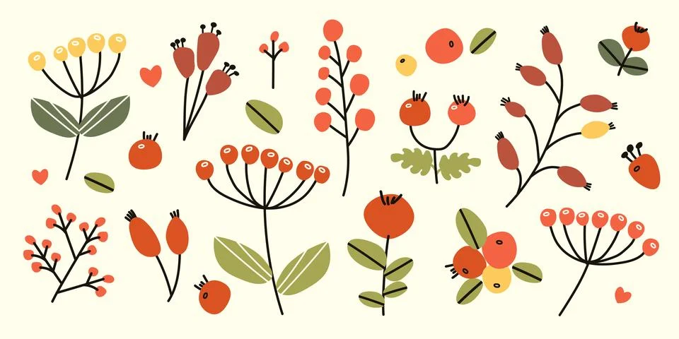 Berries set, simple branches Stock Illustration