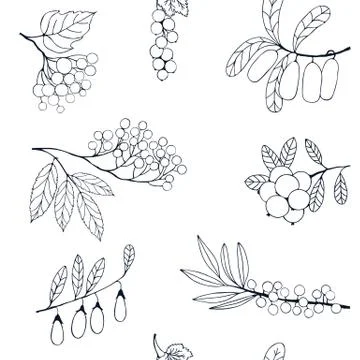 Berries sketch seamless pattern. Vector illustration Stock Illustration