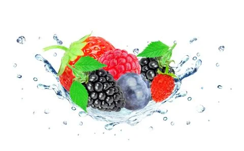 Berries splash water Stock Photos
