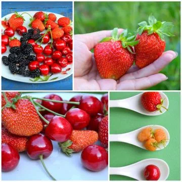 Berries - strawberry, cherry, raspberry . Collage Stock Photos