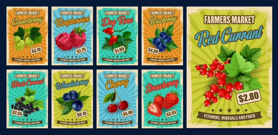 Berries of strawberry, cherry, raspberry, currant 스톡 일러스트