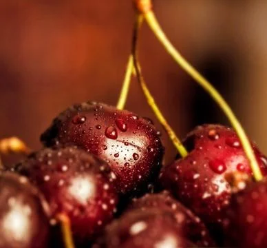 Berries of sweet cherry in drops close-up Stock Photos