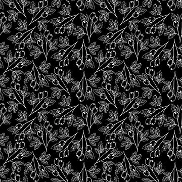 Berries on twig seamless pattern Stock Photos