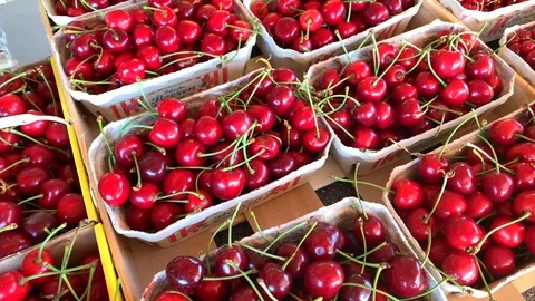 Berries unpacked in boxes, strawberries. raspberry, blueberry, currant Stock Footage 112855794
