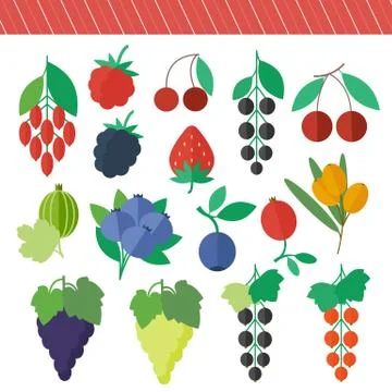 Berries vector elements set Stock Illustration