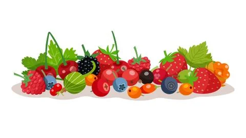 Berries Vector Illustration Stockillustratie